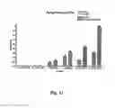 Fig. 11 - Anticancer therapy