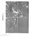 Fig. 16 - Anticancer therapy