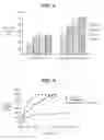 Fig. 05 - GELATIN SPONGE COMPRISING AN ACTIVE INGREDIENT, ITS PREPARATION AND USE
