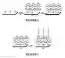 Fig. 07 - FUNCTIONALIZED SUBSTRATES AND METHODS OF MAKING SAME