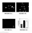 Fig. 11 - FUNCTIONALIZED SUBSTRATES AND METHODS OF MAKING SAME