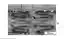 Fig. 01 - COATED STENT