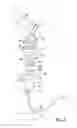 Fig. 03 - Device and method for collecting and dispensing colostrum