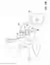 Fig. 22 - Device and method for collecting and dispensing colostrum