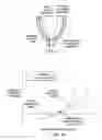 Fig. 06 - Biphasic and dynamic adjustable support devices and methods with assist and recoil capabilities for treatment of cardiac pathologies