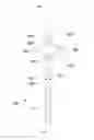 Fig. 09 - Indwelling urinary catheter