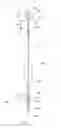 Fig. 12 - Indwelling urinary catheter