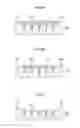 Fig. 10 - NEEDLE ARRAY TRANSDERMAL ABSORPTION SHEET AND METHOD FOR MANUFACTURING NEEDLE ARRAY TRANSDERMAL ABSORPTION SHEET