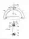 Fig. 03 - Ergonomic pull handle and associated exercise methods