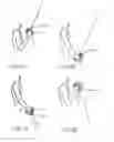 Fig. 04 - Ergonomic pull handle and associated exercise methods