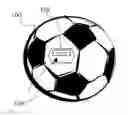 Fig. 01 - INTERACTIVE BALL