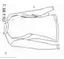 Fig. 03 - FOOTBALL TRAINING GLOVES