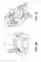 Fig. 04 - Motorized transportation device