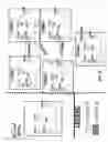 Fig. 49 - METHOD AND SYSTEM FOR OPERATING A SELF-PROPELLED VEHICLE ACCORDING TO SCENE IMAGES