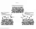 Fig. 02 - PtAu nanoparticle catalyst heat-treated in the presence of CO and method for manufacturing the same