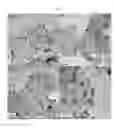 Fig. 03 - PtAu nanoparticle catalyst heat-treated in the presence of CO and method for manufacturing the same