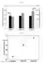 Fig. 06 - PtAu nanoparticle catalyst heat-treated in the presence of CO and method for manufacturing the same