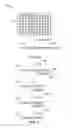 Fig. 02 - METHODS AND APPARATUS FOR NUCLEIC ACID SYNTHESIS USING OLIGO-TEMPLATED POLYMERIZATION