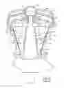 Fig. 03 - Top supported mainshaft suspension system