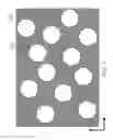 Fig. 11 - Slippery liquid-infused porous surfaces having improved stability