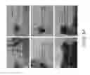Fig. 17 - Slippery liquid-infused porous surfaces having improved stability
