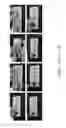 Fig. 29 - Slippery liquid-infused porous surfaces having improved stability
