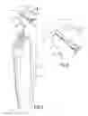 Fig. 02 - TORQUE GRIP SLIP FORCE PLIERS