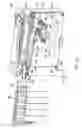Fig. 17 - Method and apparatus for effecting automated movement of a magnet in an instrument for performing a magnetic separation procedure