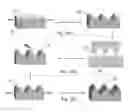 Fig. 04 - Wrinkled surfaces with tunable hierarchy and methods for the preparation thereof