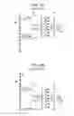 Fig. 07 - Liquid discharge apparatus, head unit, and control method of liquid discharge apparatus