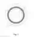 Fig. 04 - Elastic wheel for railway vehicles