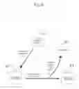 Fig. 10 - Velocity Control System