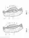 Fig. 06 - Electro-active polymer actuators for vehicle seating applications