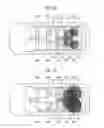 Fig. 06 - VEHICLE-INTERIOR ILLUMINATION DEVICE
