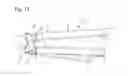 Fig. 16 - Crash box and automobile chassis