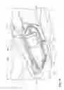 Fig. 11 - Storage structure for saddle-ride type vehicle