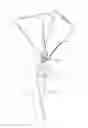 Fig. 08 - Saddle rear rack for bicycle