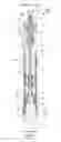 Fig. 02 - Suspension device