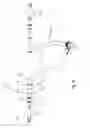 Fig. 28 - Snowmobile