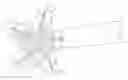 Fig. 01 - Flexbeam unit for a hingeless or a hinge and bearingless multi-blade rotor of a rotary wing aircraft