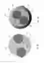 Fig. 15 - INVERTING WING PROPULSION SYSTEM