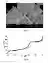 Fig. 03 - MESOPOROUS, HIGHLY ORDERED MAGNESIUM AND NIOBIUM BASED TERNARY OXIDE COMPOUND, PROCESS FOR ITS PREPARATION AND USES