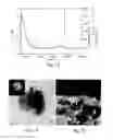 Fig. 07 - MESOPOROUS, HIGHLY ORDERED MAGNESIUM AND NIOBIUM BASED TERNARY OXIDE COMPOUND, PROCESS FOR ITS PREPARATION AND USES