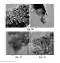 Fig. 09 - MESOPOROUS, HIGHLY ORDERED MAGNESIUM AND NIOBIUM BASED TERNARY OXIDE COMPOUND, PROCESS FOR ITS PREPARATION AND USES