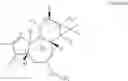 Fig. 02 - Compositions And Methods Of Use Of Phorbol Esters For Treatment of Stroke