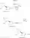 Fig. 438 - Hepatitis C Virus Inhibitors