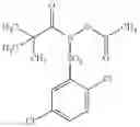 Fig. 33 - Bis-acylated hydroxylamine derivatives