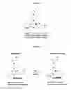 Fig. 05 - SELECTIVE EFFLUX INHIBITORS AND RELATED PHARMACEUTICAL COMPOSITIONS AND METHODS OF TREATMENT