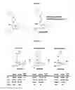 Fig. 06 - SELECTIVE EFFLUX INHIBITORS AND RELATED PHARMACEUTICAL COMPOSITIONS AND METHODS OF TREATMENT