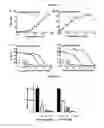 Fig. 07 - SELECTIVE EFFLUX INHIBITORS AND RELATED PHARMACEUTICAL COMPOSITIONS AND METHODS OF TREATMENT